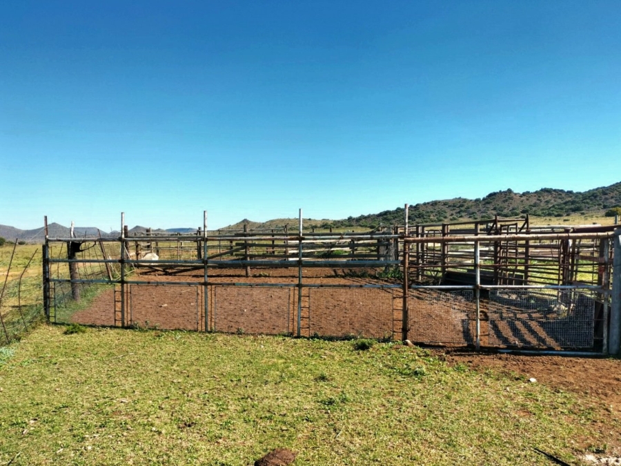4 Bedroom Property for Sale in Bloemfontein Rural Free State